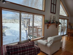 Televisión, chimenea, videojuegos, reproductor de DVD