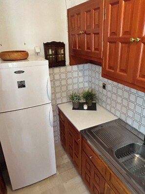 Private kitchen - 3-bedroom apartment in beautiful Metsovo with WiFi (METSOVO)