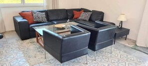 テレビ、ステレオ