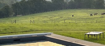 LES MAISONS SUR LA COLLINE