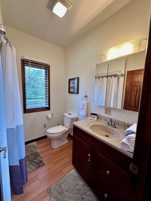 Hårtørrer, håndklæder, Sæbe, Shampoo