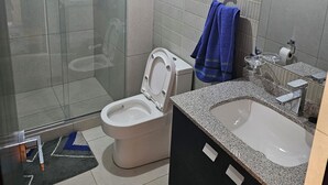 Un baño con inodoro, lavamanos y ducha.