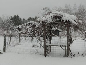 Property grounds - Spacious country retreat, close to Montpelier, close to nature. Smoke/pet free (Montpelier)