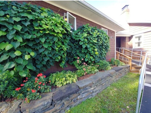 Exterior detail - Spacious country retreat, close to Montpelier, close to nature. Smoke/pet free (Montpelier)