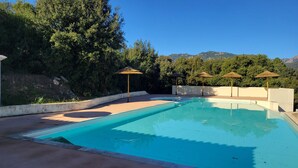 A swimming pool with a clear blue water, surrounded by trees and a mountain in the background. - Mini Villa near Pinarello beach (Zonza)