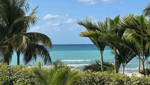 On the beach, sun-loungers, beach towels - Stunning 2 bedroom condo at Sunset Cove - Seven Mile beach (George Town)