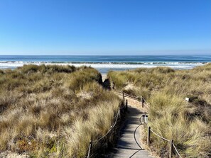 Plage, chaises longues, serviettes de plage