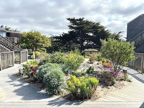 Property grounds - Beachfront Condo in Watsonville, CA (Watsonville)