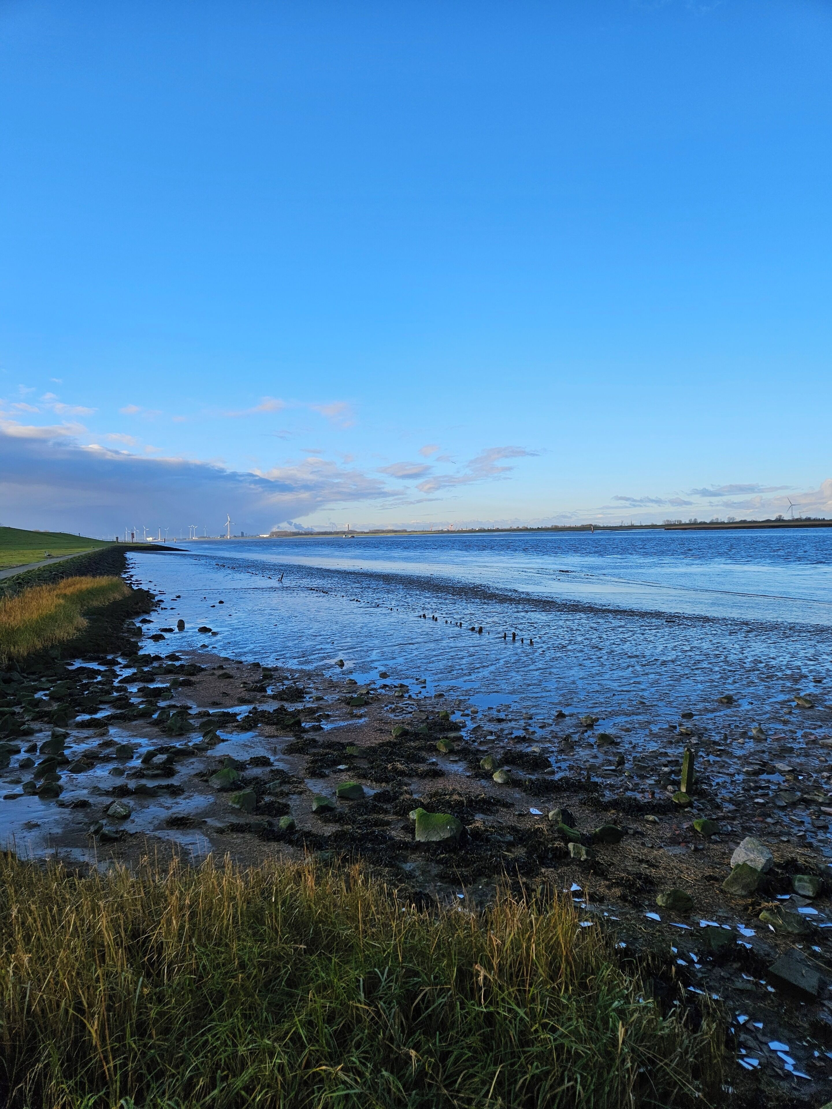 Een kustlandschap met heldere lucht, een zandstrand en een grasveld.