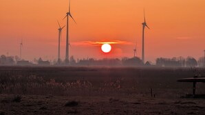 A sunset over a wind farm with multiple wind turbines silhouetted against the sky. - The Kirsche - Rustic sleeping barrel in East Frisia (Holtgast)