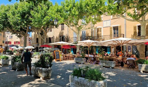 Charming family villa in Tourtour. 40 minutes from the Côte d'Azur.