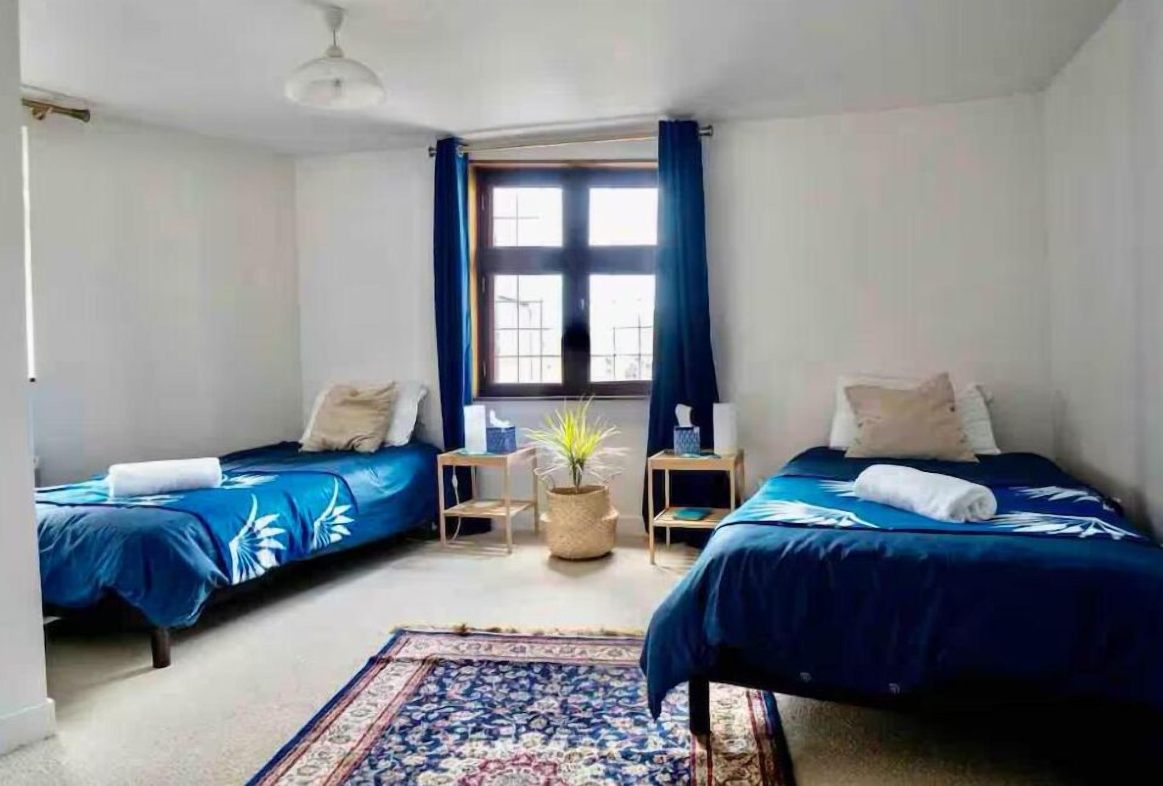 Un dormitorio con dos camas, una ventana con cortinas, una mesita con una planta y una alfombra estampada.