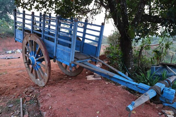 A blue cart with wooden wheels and a metal frame, parked on a dirt path with trees and vegetation in the background. - Temple View Homestay (Sringeri)