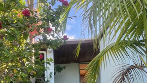 Property grounds - North shore room with pool in tropical garden next to beach & Browns Bay village (Auckland)