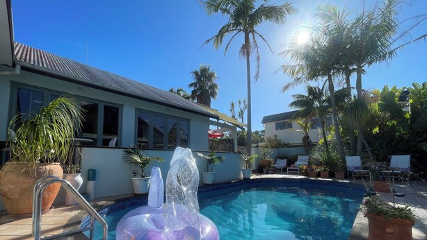 A swimming pool with a clear water surface, surrounded by potted plants and palm trees. - North shore room with pool in tropical garden next to beach & Browns Bay village (Auckland)