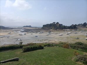 Zona costera con numerosos barcos anclados en una playa arenosa, un primer plano con hierba y un edificio distante en una colina.