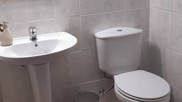 Secador de pelo, toallas, jabón, papel higiénico