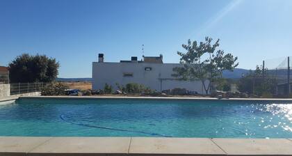 Peaceful retreat with pool, 5 minutes from the city, pet friendly