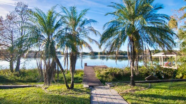 Un camino que lleva a un mirador junto a un lago con palmeras.