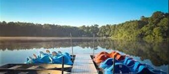 Escape to our Cabin in the Pines in beautiful East Falmouth on Sunny Cape Cod.