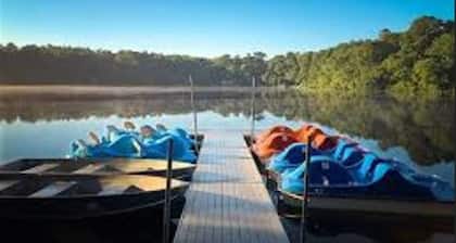 Escape to our Cabin in the Pines in beautiful East Falmouth on Sunny Cape Cod.