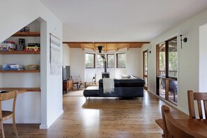 Smart TV, fireplace, books