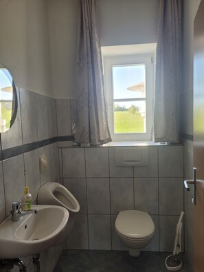 Shower, hair dryer, towels, toilet paper