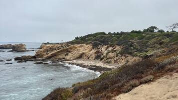 Sun loungers, beach towels