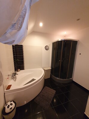 Shower, hair dryer, towels, soap - Spacious family home ideally located in BRITTANY (Romillé)