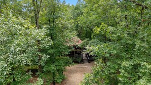 A forested area with a wooden structure, possibly a cabin or lodge, surrounded by dense trees and a gravel path.
