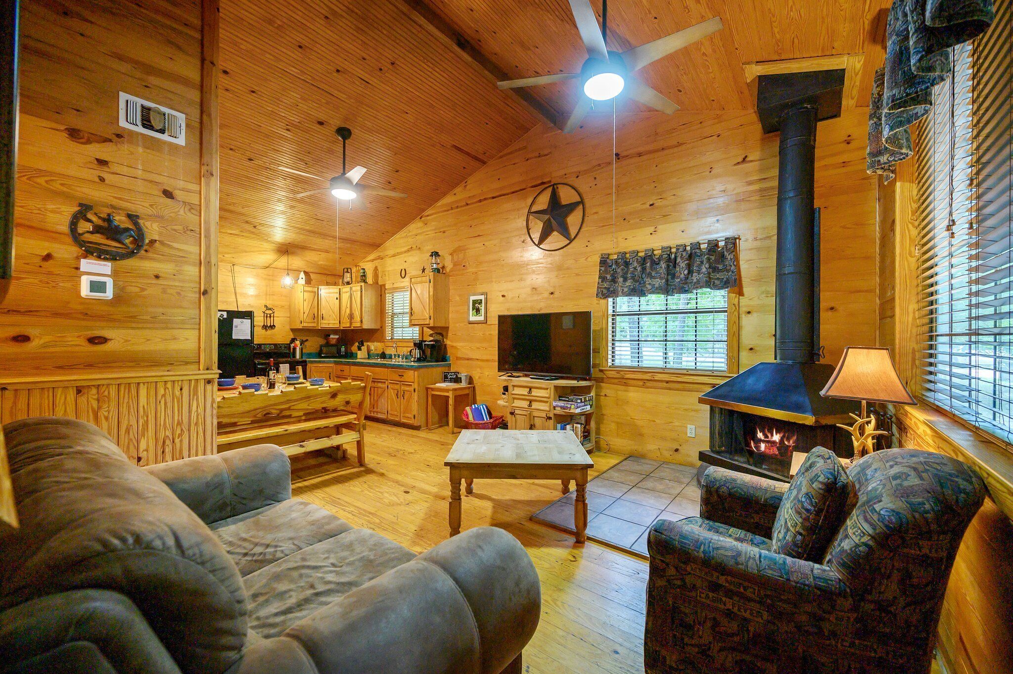 Smart TV, fireplace, DVD player, books