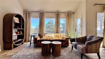 Smart TV, fireplace, books