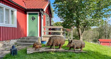 Cozy home in Laholm with WiFi