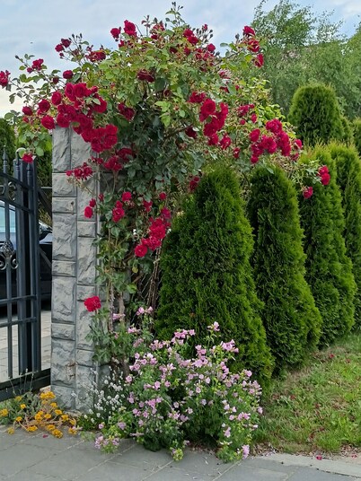 Apartamenty Jasieńczyk