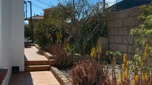Un giardino con diverse piante e un muro in pietra.