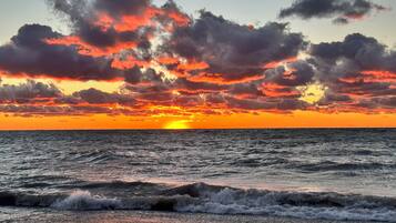 Accommodatie ligt op het strand, ligstoelen