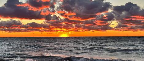 ビーチ、サンラウンジャー