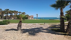 A beachside view with palm trees, a clear sky, and a distant ocean. - Condo Bella Sirena 805 C by Kivoya (Puerto Peñasco)