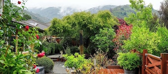 4kms from CBD, pet-friendly, bike tracks/ bus right out the gate, family/couples