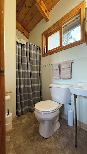 Shower, towels, soap, toilet paper