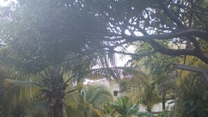 A swimming pool with a hot tub, surrounded by lush greenery and palm trees. - 2-bedroom resort in wonderful Playas del Coco with WiFi, AC; extra sleeper  (Playas del Coco)