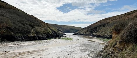 Plage à proximité