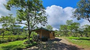 A rustic wooden cabin with a green roof, surrounded by lush greenery and trees.