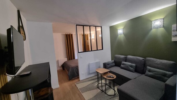 A compact living space with a grey sofa, a small coffee table, a TV, and a bed with curtains.