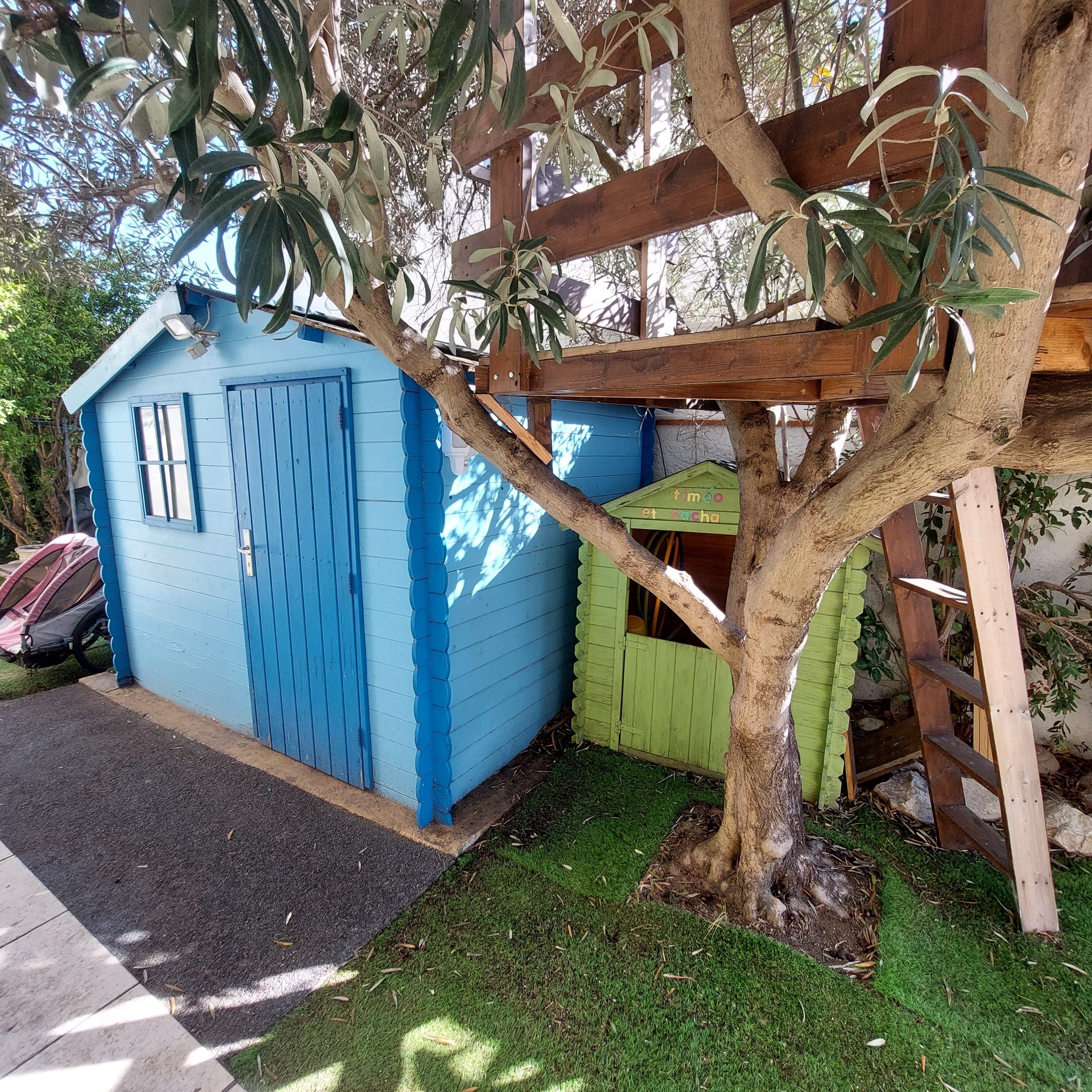 A small blue shed with a green door, a tree in front, and a wooden ladder.