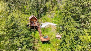 A wooden cabin with a deck, surrounded by dense forest. - 5 Miles to Rainier`s Nisqually Entrance – 8 Private Acres + Hot Tub (Ashford)
