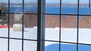 A view through a window with a grid pattern, featuring a snowy landscape, a body of water, and distant land.