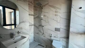 Shower, hair dryer, bidet, towels