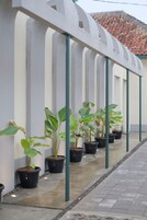 Vários vasos com plantas dispostos em linha contra uma parede branca, com um telhado de azulejos ao fundo.