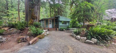 Newly remodeled off grid river cabin with full services including WiFi